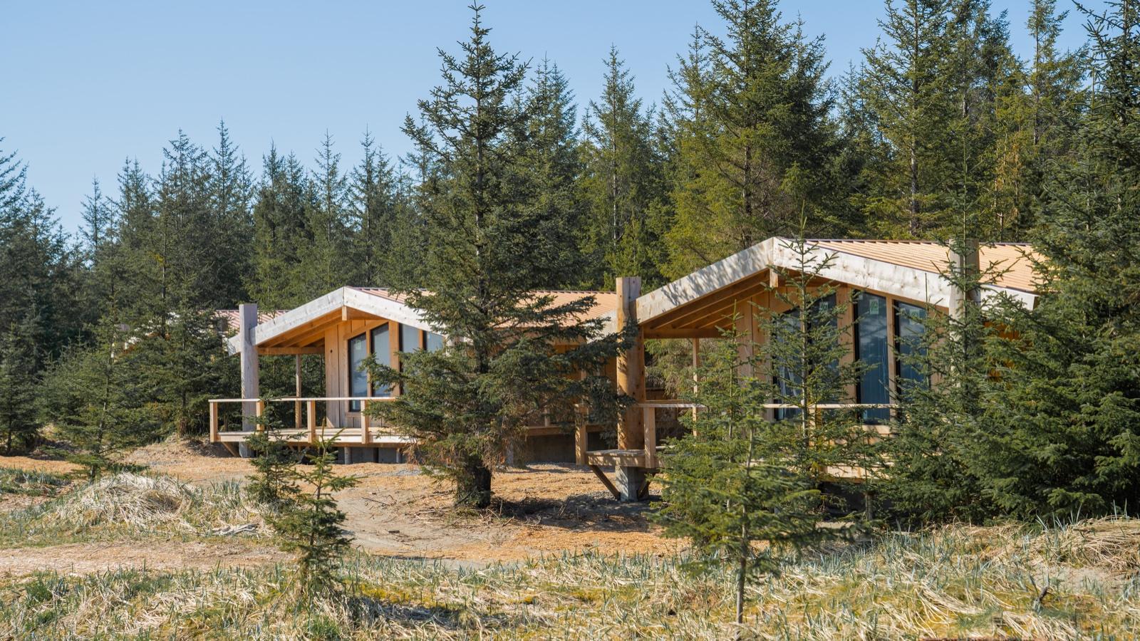 Haida House cabins nestled among coastal trees